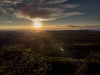 Wald bei Sonnenuntergang - Luftaufnahme