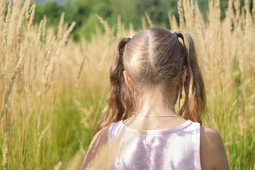 little girl in a field of cereals