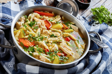 hot Chicken, pasta and vegetable rich soup