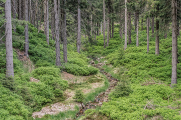 Poland, Karkonosze National Park panoramic view