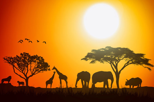 African Landscape Scene Of Safari Animal Savannah Silhouette.