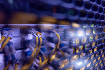 Optical cable close up. Big Optical server.	