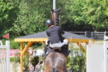 Reitsport Verweigerung beim Springreiten, das Springpferd verweigert den Hindernissprung, bei...