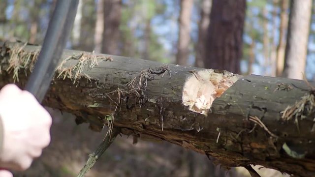 Slow Motion Axe hitting tree log, detaching bark from tree trunk - close up.