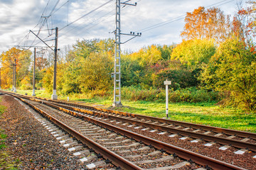 Fototapeta na wymiar railway in the autumn forest