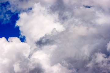 Obraz premium lush white cumulus clouds swim across the blue sky