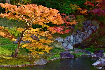 Kamakura / Japan  ~  autumn colors