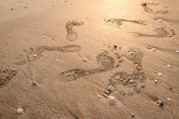 Fototapeta na wymiar Footprints on the beach. Footsteps at sunset with golden sand. Memories of the passing days.