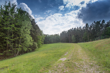 Obraz premium Waldrand