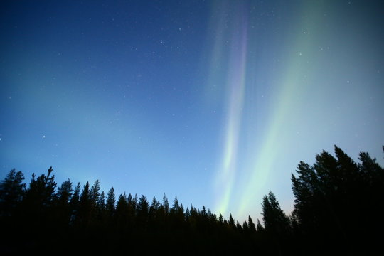 Aurora borealis over forest in northern Sweden