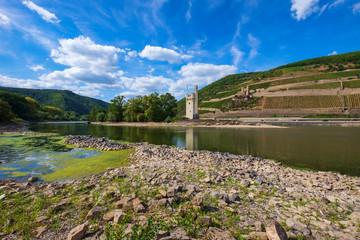 Der Mäuseturm und die Burg Ehrenfals am Rhein bei Niedrigwasser
