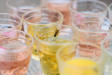 Summer, sweet drinks with wasp in the glass