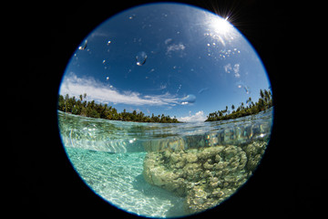 cyrcular view snorkeling in french polynesia down under world