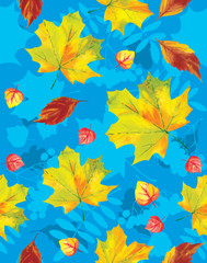 Fototapeta na wymiar Seamless pattern, autumn leaves on a blue background.