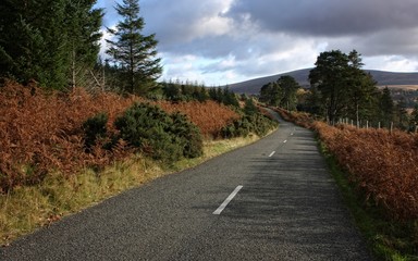 Fototapeta na wymiar Road to Sally Gap - Ireland