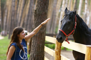 teenager girl stroke black horse with halter close up summer photo