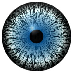 Obraz premium Frozen blue white animal human eye, isolated white background, colorized eyeball