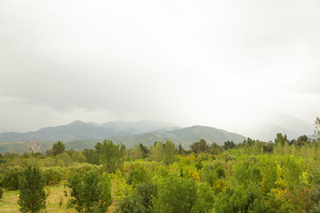 mountains shrouded in clouds