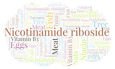 Fototapeta premium Niacinamide riboside word cloud.