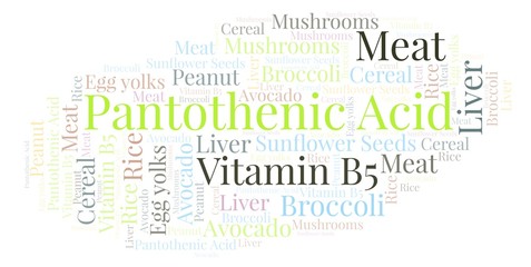 Pantothenic Acid word cloud.