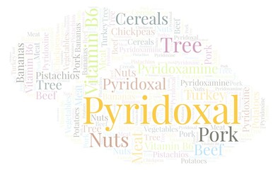 Fototapeta premium Pyridoxal word cloud.