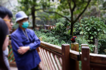 香港公園　餌やり