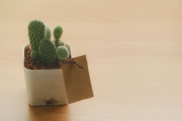 Mini paper tag with cactus on table.