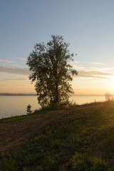 Fototapeta na wymiar Tree beside lake in Votkinsk at sunset