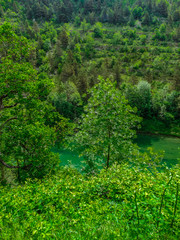 Fototapeta na wymiar Gorges du Verdon river with green vegetation , Alpes de Haute Provence, France