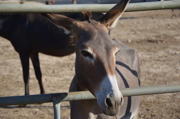Cyprus Protaras  2018