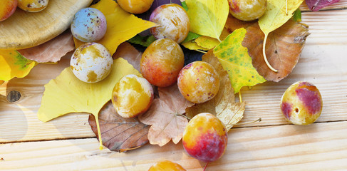 plums on autumnal leaves put on a wooden table