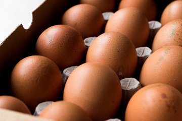 Marking Code Numbers Printed on Egg with Package / Container.