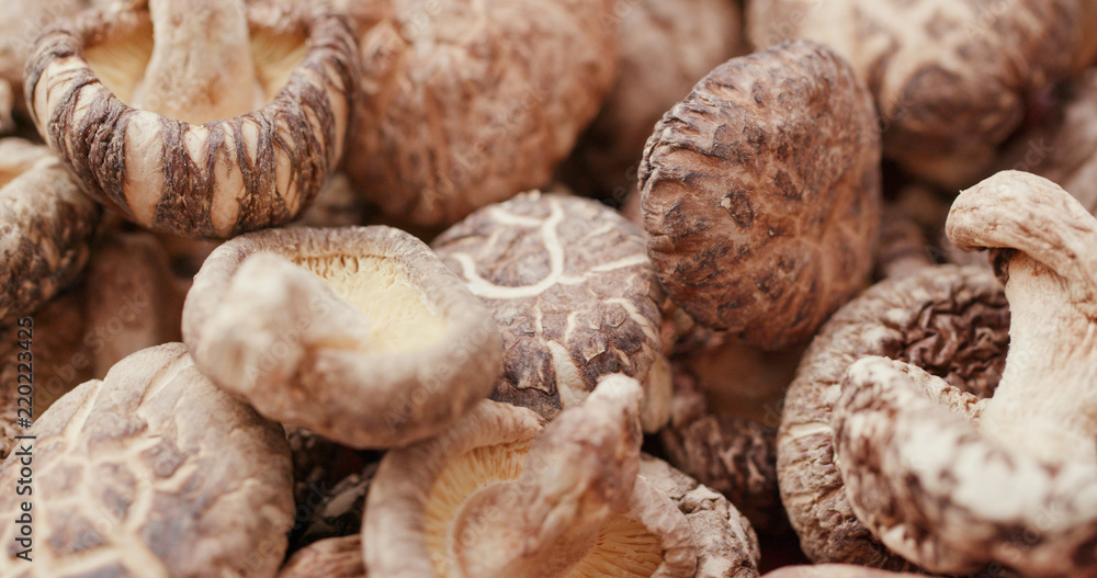 Sticker heap of dry mushroom