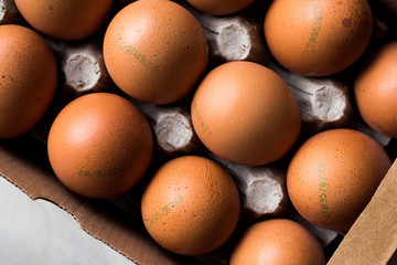Marking Code Numbers Printed on Egg with Package / Container.