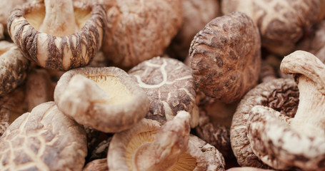 Heap of Dry mushroom