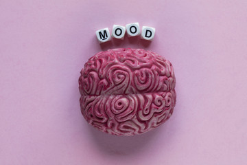 Human brain with the word mood. Mental health concept