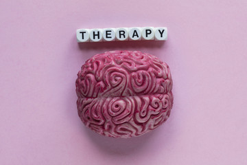 Human brain with the word Therapy. Mental health concept