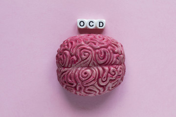 Human brain with the word OCD. Mental health concept
