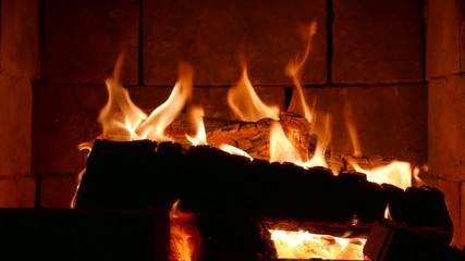 Cozy Fireplace with Burning Logs
