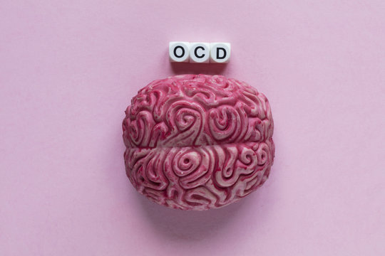 Human Brain With The Word OCD. Mental Health Concept