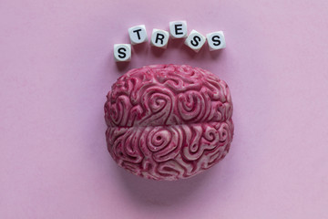 Human brain with the word stress. Mental health concept