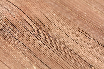 Fototapeta premium Old wood