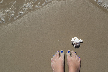 Female feet and seashell on the wet sand.