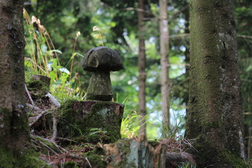 Wooden mushroom in the forest