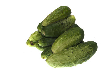 cucumber isolated on white background
