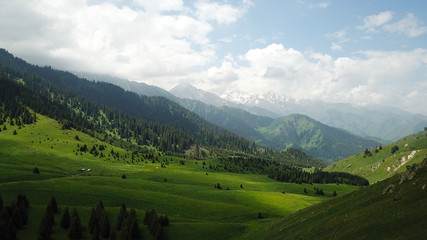 Green fields with fir trees, snowy mountains and large clouds. The blue sky comes out of the clouds.