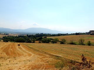 View of cultivated fields.