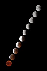 Obraz premium Phases of full eclipse of the Moon