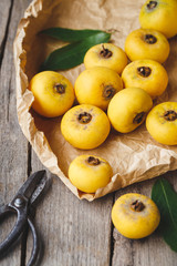 Naklejka na ściany i meble Gold apple fruits-Diospyros decandra fruits