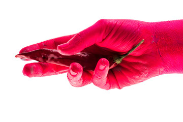 Red hot pepper, chili pepper in red hand. Concept of spices and cooking, colored vegetables and body of woman. Hand holds one red pepper. Cook chef cooks spicy food